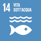 SDGs 14.  Conservare e utilizzare in modo sostenibile gli oceani, i mari e le risorse marine per uno sviluppo sostenibile