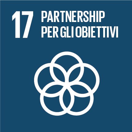 SDGs 17.  Rafforzare gli strumenti di attuazione e rinnovare il partenariato mondiale per lo sviluppo sostenibile